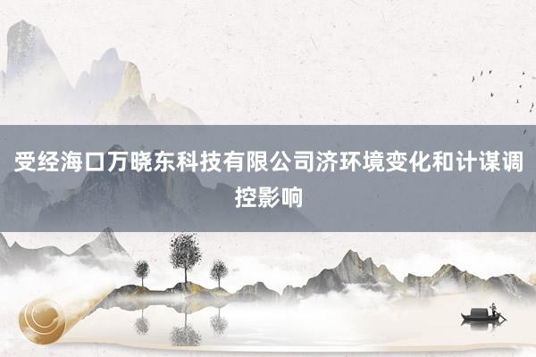 受经海口万晓东科技有限公司济环境变化和计谋调控影响