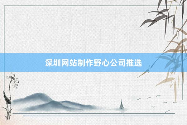 深圳网站制作野心公司推选
